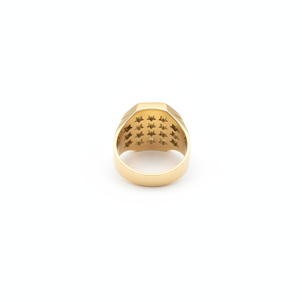 14K Gold Men's Ring with Black Zirconia
